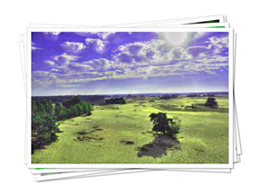 photo of a green landscape and blue sky